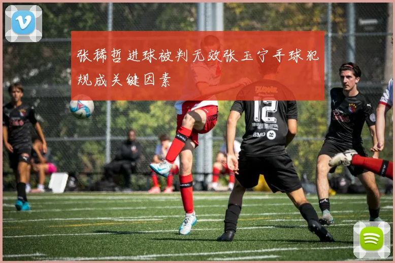 张稀哲进球被判无效张玉宁手球犯规成关键因素